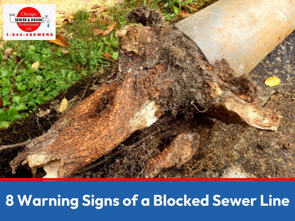 How To Unclog a Main Sewer Line Quickly