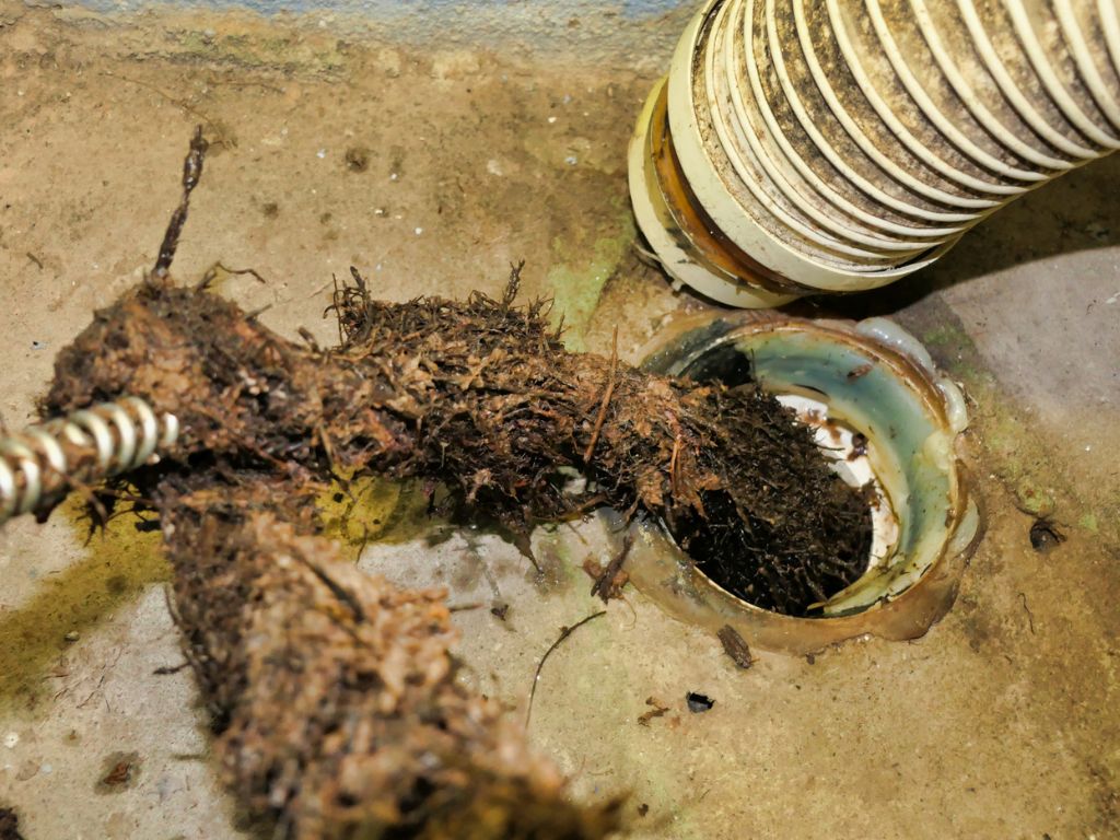 unclogging undeground drain system